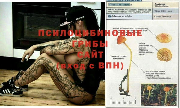PSILOCYBIN Алексин