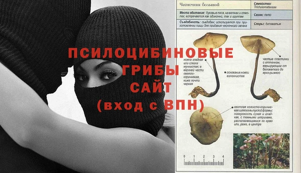 PSILOCYBIN Алексин