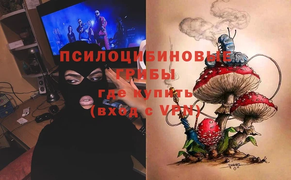 гашик Алзамай