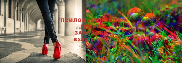 шишки Алексеевка