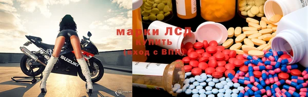 гашик Алзамай